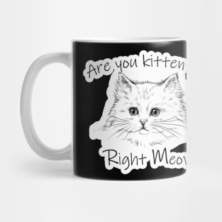 Are you kitten me right meow Gift Saint Valentin 2021 NOW Mug